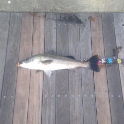 濁りの中から！