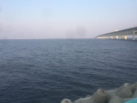 坊主4連続からの脱出