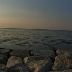 渋い〜(*´Д｀*)