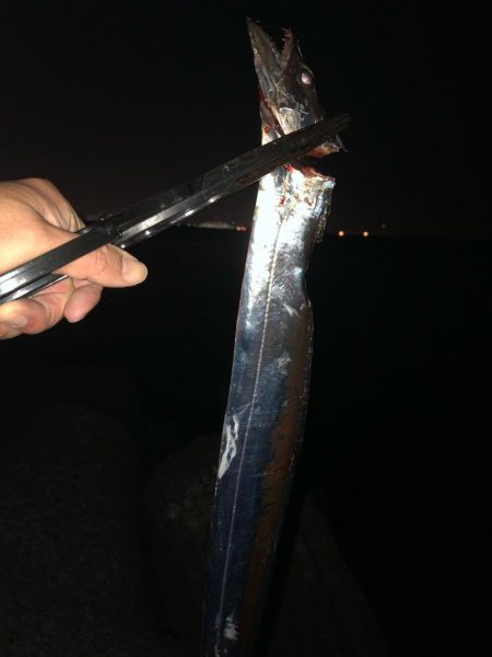 今日もタッチー(^｡^)