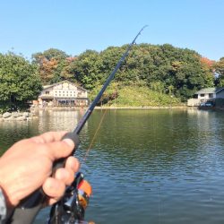 管理釣り場でトラウト！