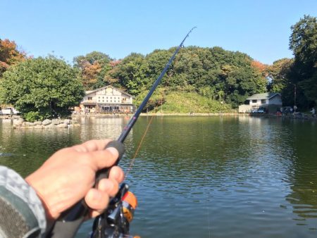 管理釣り場でトラウト！