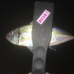 ちょいアジング