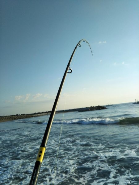 サーフから青物