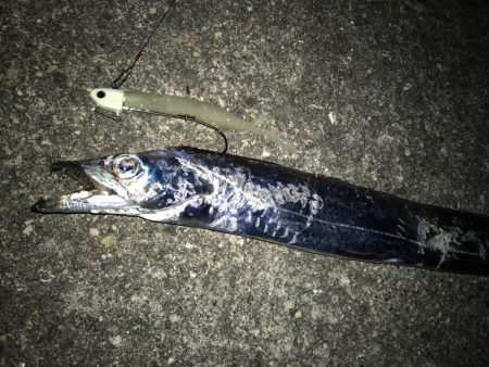 久しぶりの沖堤！