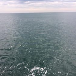 4日から5日にかけての釣行