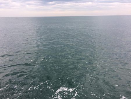 4日から5日にかけての釣行