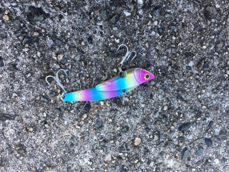 2ヒット2キャッチ 今一な釣行