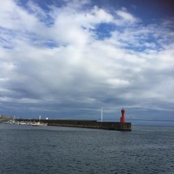 太刀魚劇渋からのサビキ