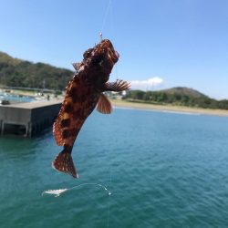 エサ釣りとライトゲーム