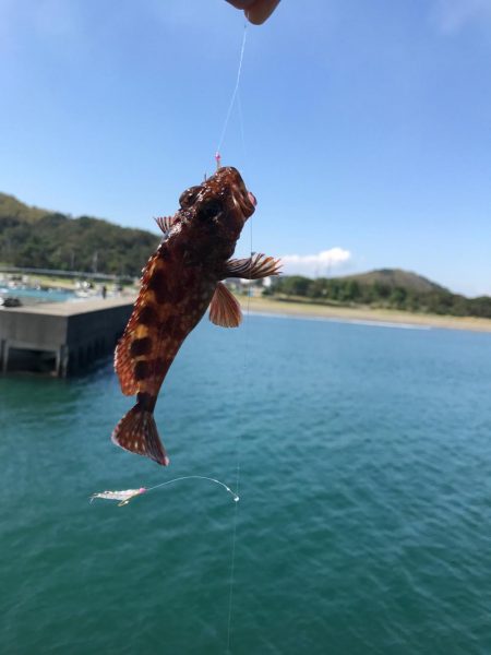 エサ釣りとライトゲーム