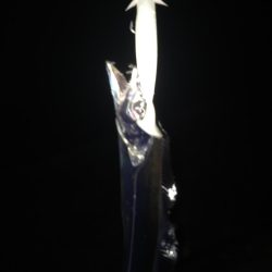 寒いけど暖かい楽しいタチウオ釣り