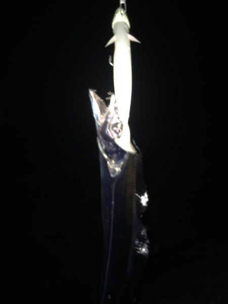 寒いけど暖かい楽しいタチウオ釣り