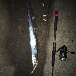 人生初フィッーシュ!おめ♫