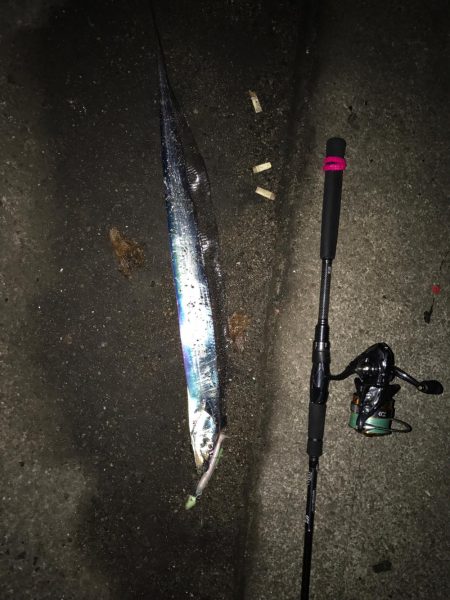 人生初フィッーシュ!おめ♫