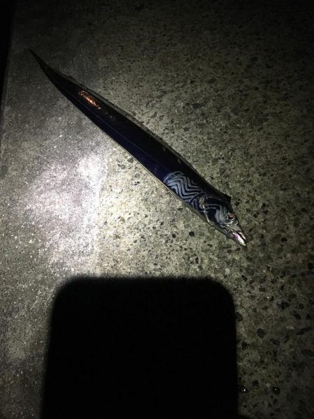 久しぶりの武庫一