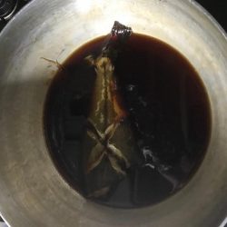 夕まずめ1本勝負