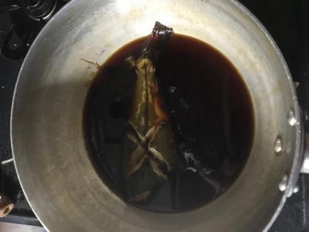 夕まずめ1本勝負