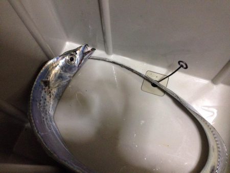 またまた一匹…