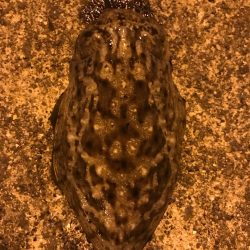 ナイトエギング‼︎