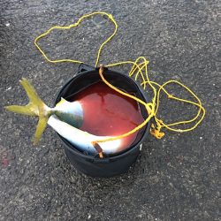 5ヒット2キャッチ したしぶりに楽しんだ