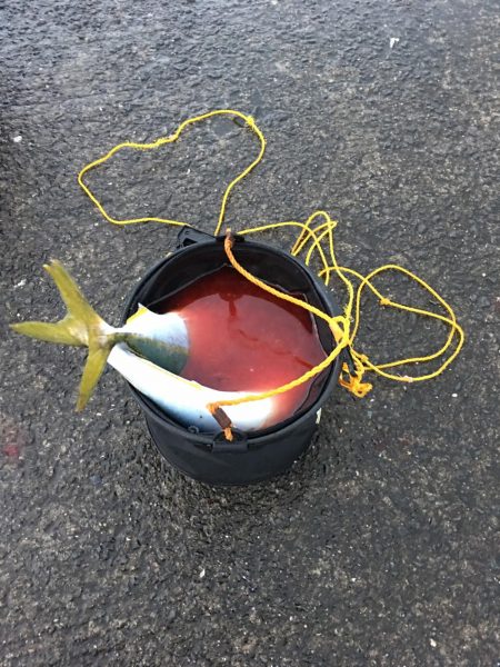 5ヒット2キャッチ したしぶりに楽しんだ