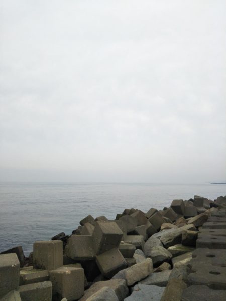 またまたイナダ