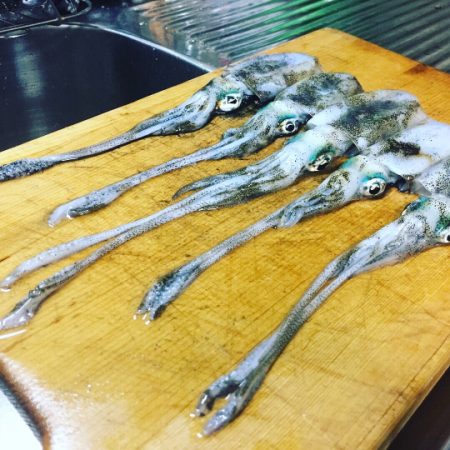 貝塚人工島にてタチウオ、アオリイカ