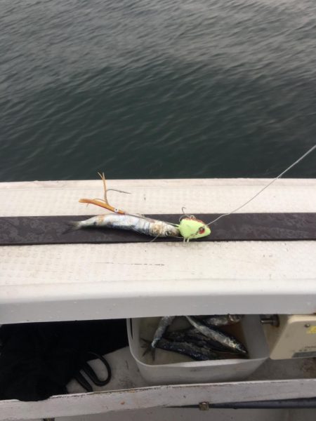 釣り人家さんタチウオ釣り