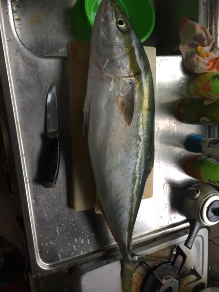 釣り大会