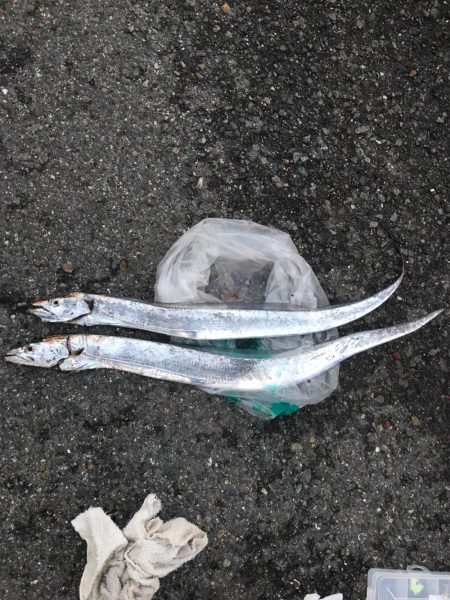 タチウオ釣りリベンジ