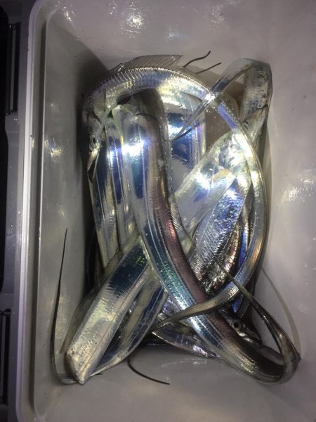 スレタチ攻略！