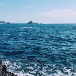 夕まずめラッシュ