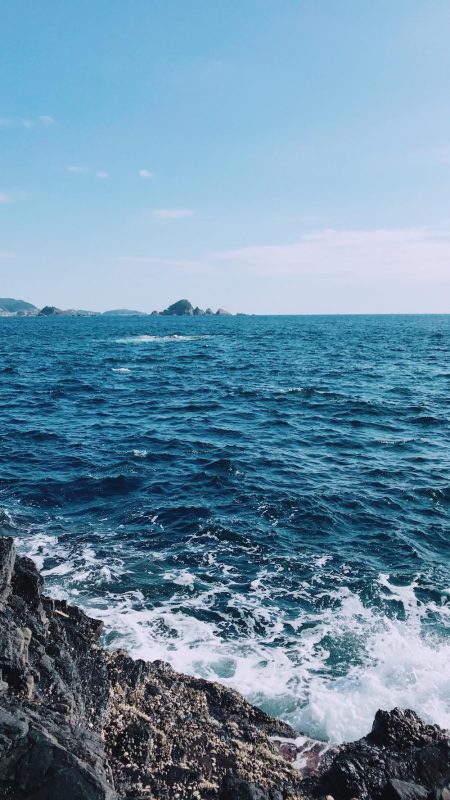 夕まずめラッシュ