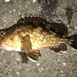 体感風速10m超！？