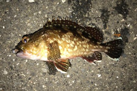 体感風速10m超！？