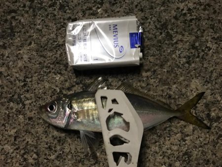 アジング成功！