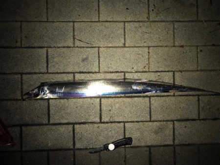 豪雨、爆風…  釣果は？