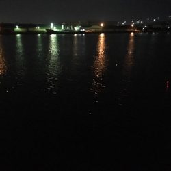 大雨の前にタチウオ