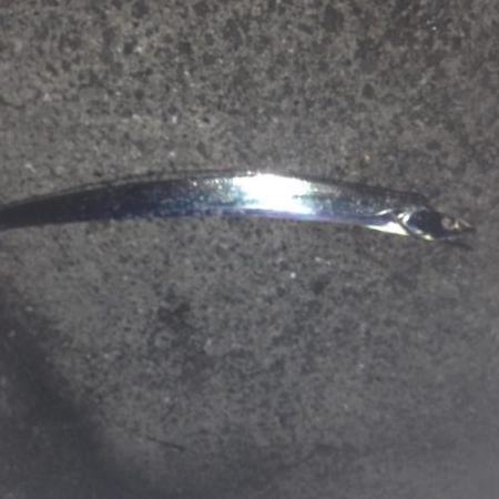 大蔵海岸で魚釣り