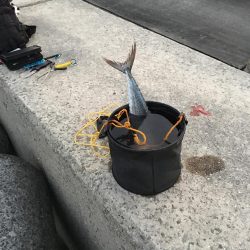 1ヒット1キャッチ 強風の中なんとか