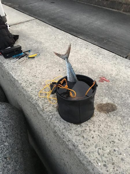 1ヒット1キャッチ 強風の中なんとか