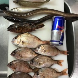 土曜の夜から朝までぶっ通し