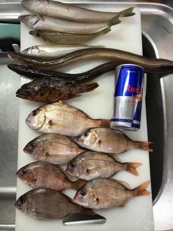 土曜の夜から朝までぶっ通し