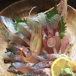 大荒れで唯一の釣果