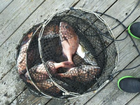 家島フィッシングパークsea遊へ再び（２回…