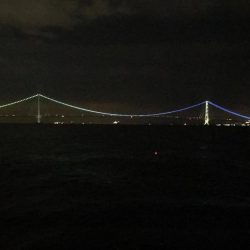 タチウオエサ釣り