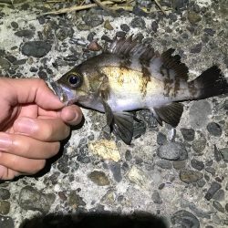 爆風ライトゲーム