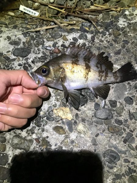 爆風ライトゲーム