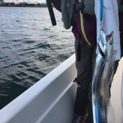 ボートでユラユラ太刀魚狙い